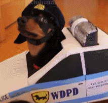 297f3fd7ad0cbd5ab146f163294facd7.gif