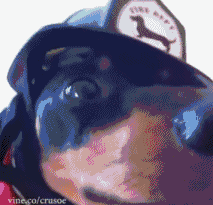 c1a3908ae65b392fe8f380a582feba9b.gif