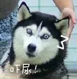 3a9b84d070de03cb4d6882689d85cc72.jpg
