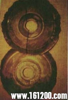 46103890_15.jpg
