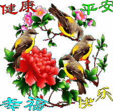复件 u=3778826246,1640531657&amp;fm=21&amp;gp=0.jpg