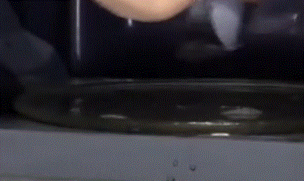 458de23fc43e705ae5bb97a7d6eb22f9.gif