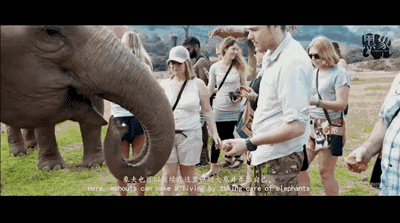 14dcde00bf0747917257c179dff611c2.gif