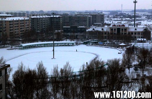 IMG_8368.JPG