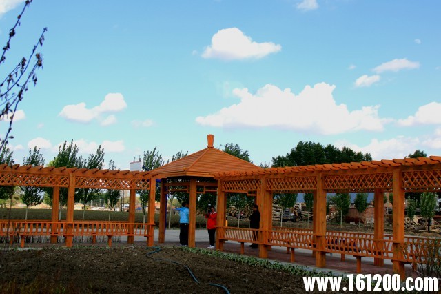 IMG_37971.jpg