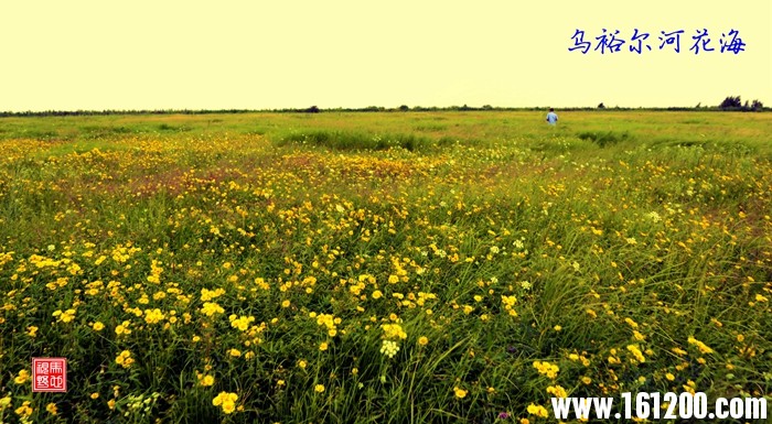 拍植物 马德义 (163).JPG