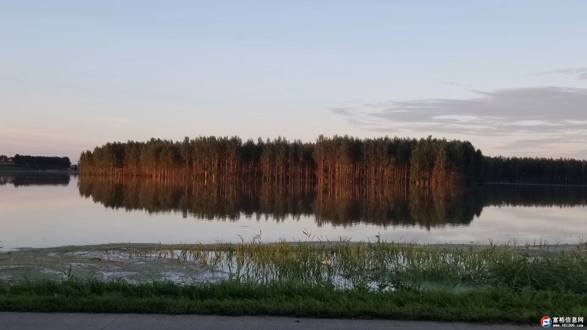 1565695944342970_992.jpg