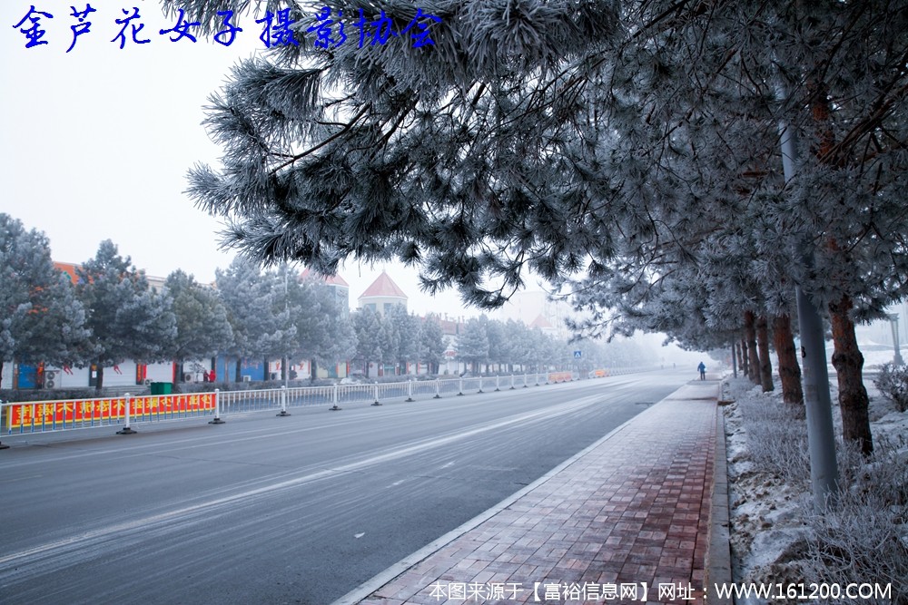 微信图片_20200213214607.jpg
