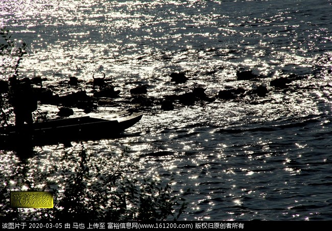 2013.7.5塔哈河 马也摄 (6).jpg