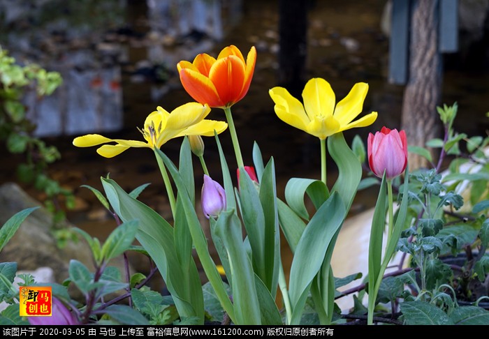 DSC00783.jpg