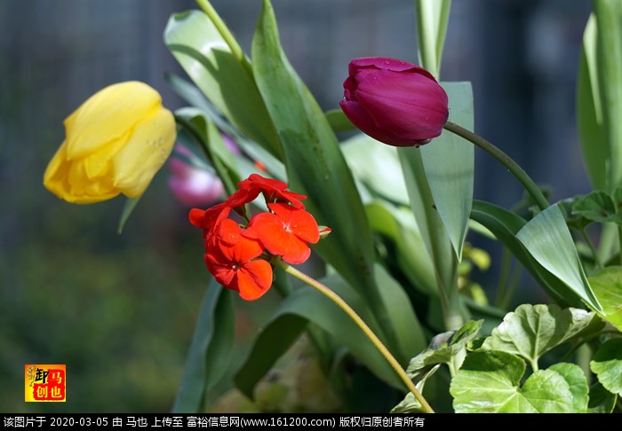 DSC00799.jpg
