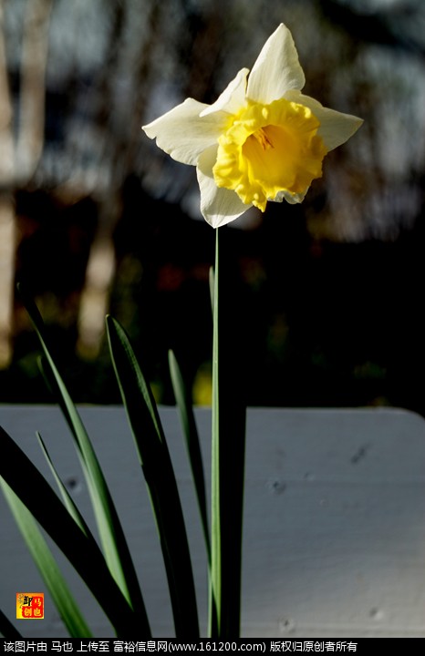 DSC00804.jpg