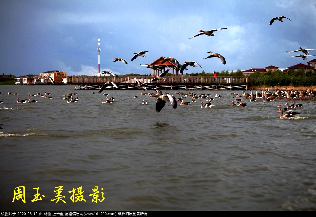 微信图片_20200813013452.jpg