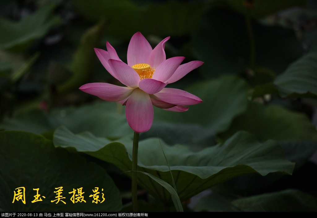 微信图片_20200813013523.jpg