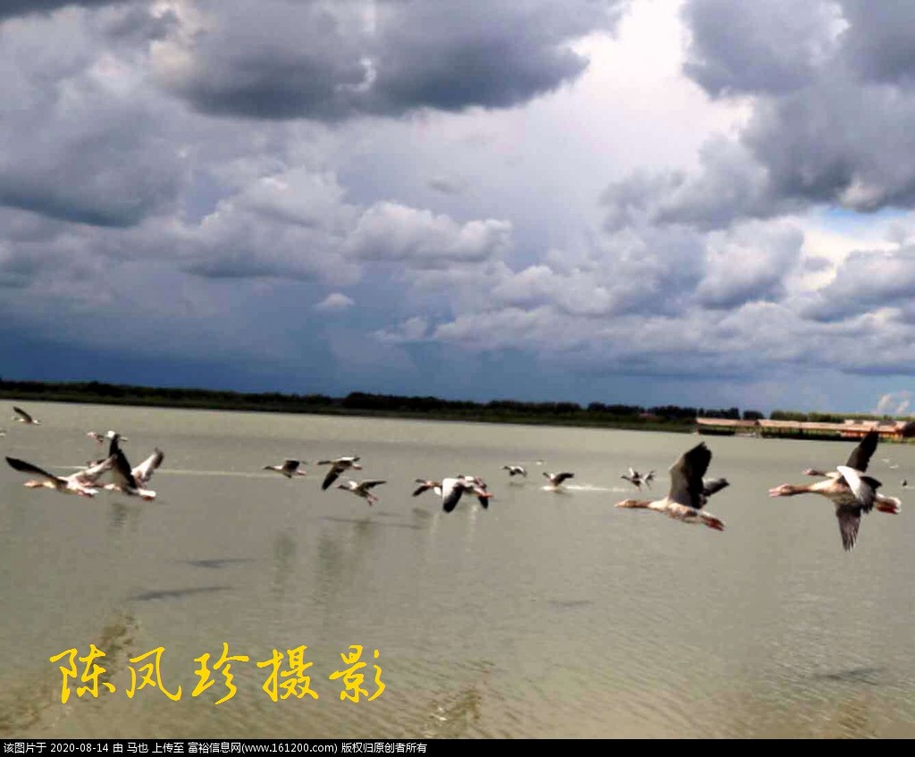 微信图片_20200814063048.jpg