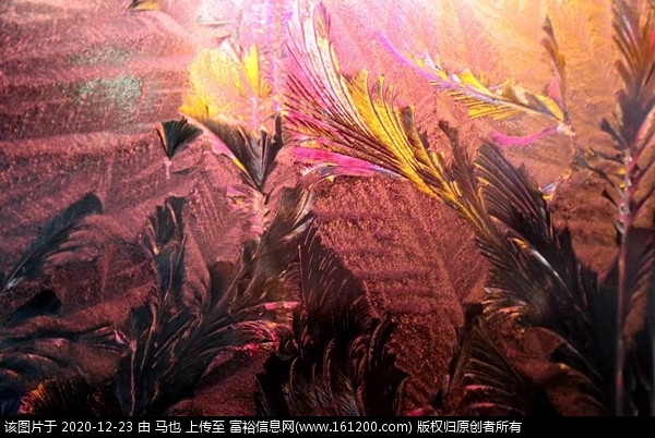 微信图片_20201223065557.jpg
