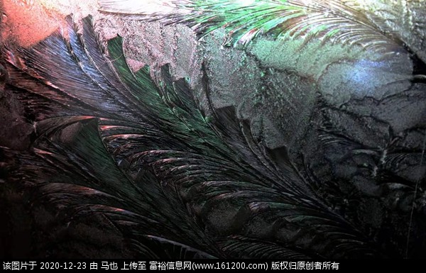 微信图片_20201223065616.jpg