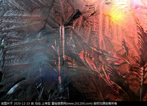 微信图片_20201223065627.jpg
