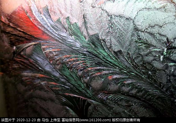 微信图片_20201223065633.jpg