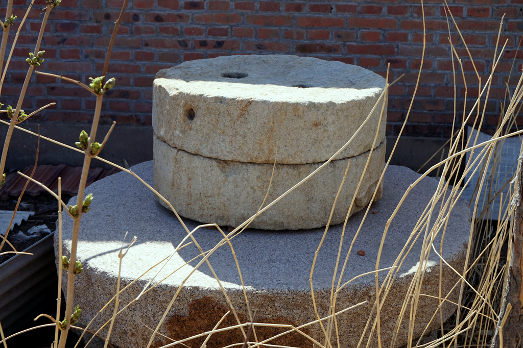 DSC09925.jpg