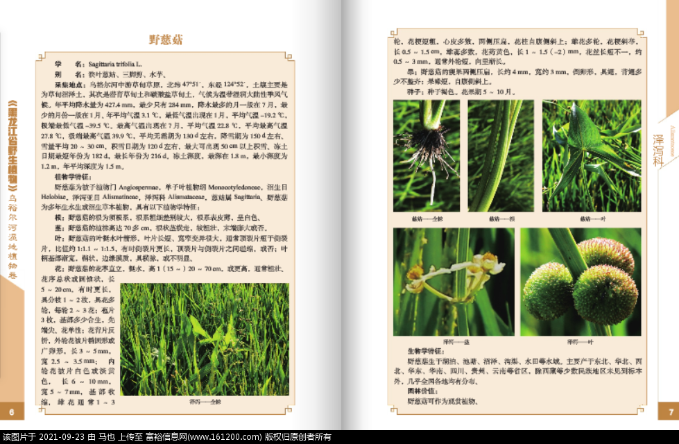 微信图片_20210923105904.png