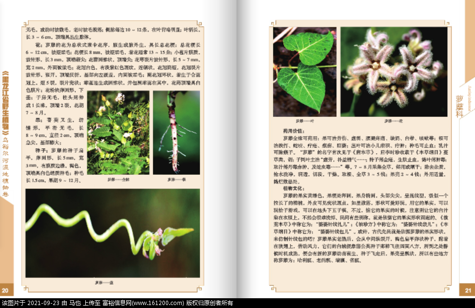 微信图片_20210923105949.png