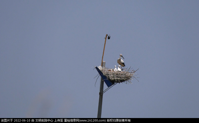 微信图片_20220610151256.png