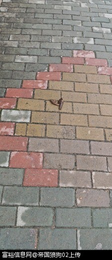 wx_camera_1722063130402.jpg