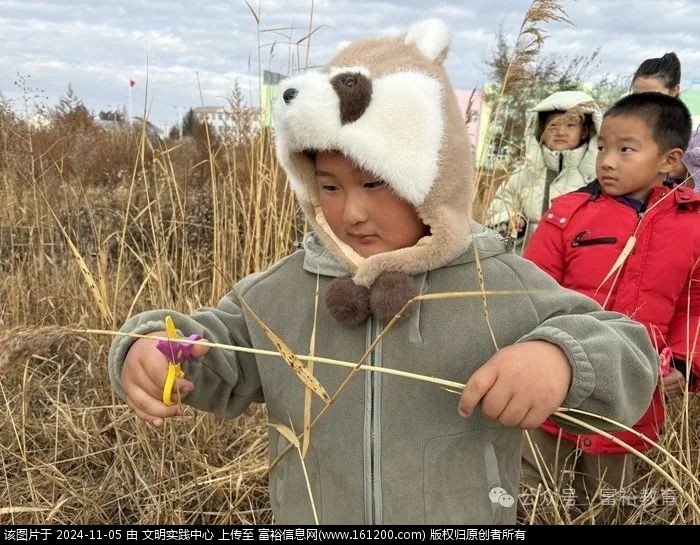 微信图片_20241105090028.jpg